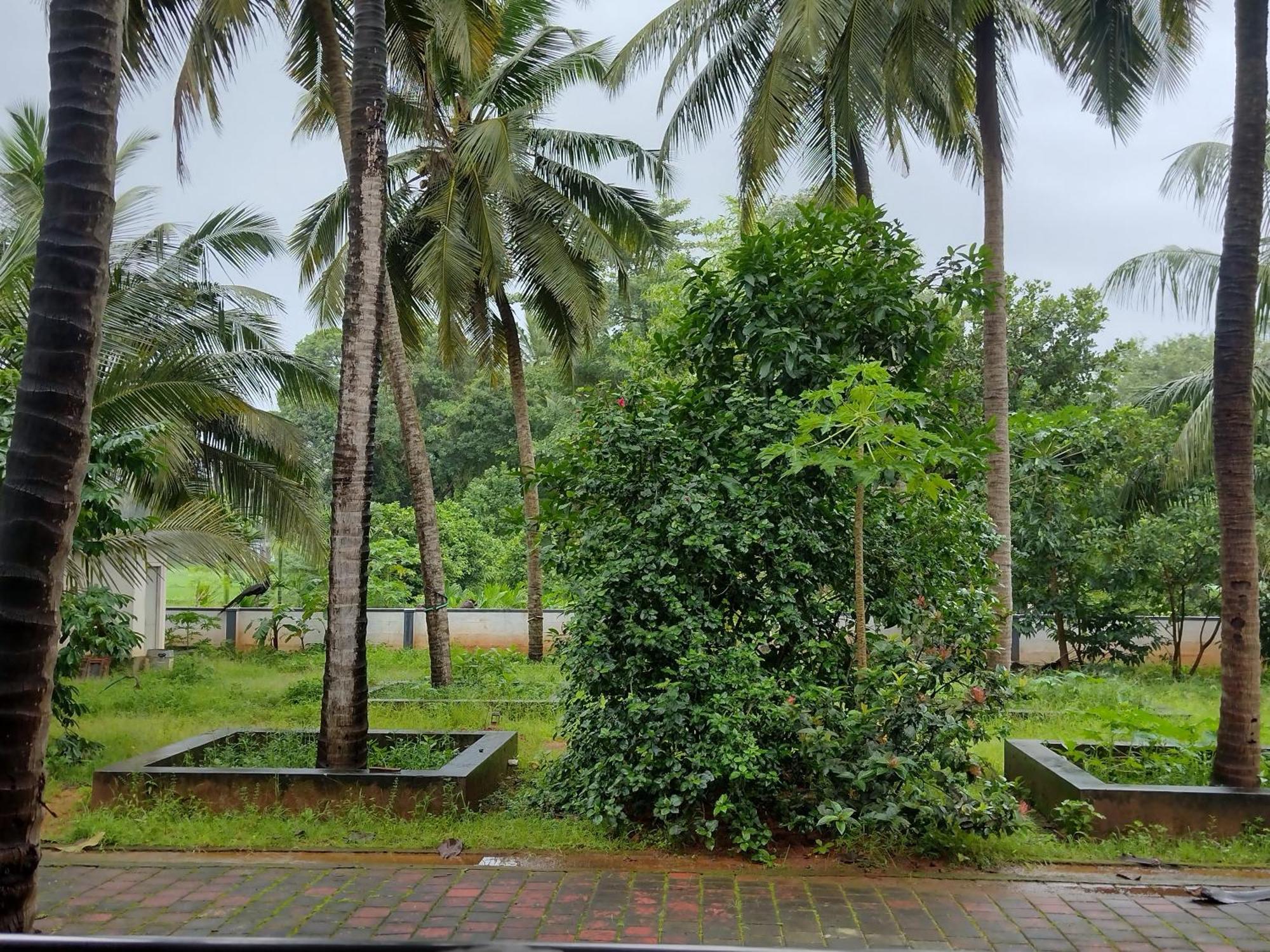 Jayadurga Farms - An Eco-Friendly Homestay Udupi Bagian luar foto